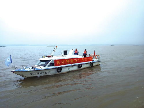 水上执法显成效，源头治理促生态——记江上巡查与渔具销售监管专项行动